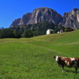 Dolomiti_Ladine_06